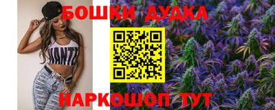 прущие крисы Будённовск